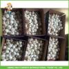 Cheapest Price High Quality Fresh Super White Garlic Mesh Bag In Carton #5 small image