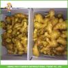 Sale High Quality Chinese Fresh Ginger 150g Up