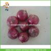Hot Sale China Rich Farmer Top Quality Chinese Fresh Red Onion