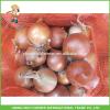 Import Fresh Yellow Onions