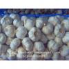 New Crop Fresh Jinxiang Normal White Garlic 5cm And Up In Mesh Bag Packing #3 small image