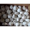 100% Natural Garlic Fresh Jinxiang Garlic Normal White Purple Garlic Exported to African Market