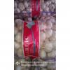 Jinxiang Fresh Red Garlic 5.5cm Loose Packing In Mesh Bag