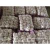 2017 New Crop 5cm Normal White Fresh Garlic 10kg Mesh Bag Packing #1 small image
