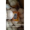 New Crop Chinese 4.5cm Pure White Fresh Garlic Loose Carton Packing