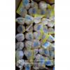 Chinese Fresh Jinxiang Snow White 5.5cm Garlic Small Packing In 10kg Box
