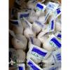 Chinese Fresh Jinxiang Snow White 5.5cm Garlic Small Packing In 10kg Box #5 small image