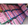 Jinxiang Shandong Fresh Normal White Garlic 5cm Loose Packing in Mesh Bag #2 small image