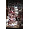 Chinese 100% Pure White Snow White Garlic Packed in Mesh Bag or Carton Box From Jinxiang China #5 small image