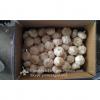New Crop 6cm and up Purple Fresh Garlic In 10 kg Mesh Bag packing