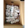 New Crop Chinese 4.5cm Snow White Fresh Garlic 3p small packing in box #1 small image