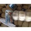 New Crop Chinese 4.5cm Snow White Fresh Garlic 3p small packing in box #2 small image