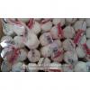 Hot Sale Chinese Fresh Purple Red Garlic Big Garlic 6.0cm and up Packed in Mesh Bag #2 small image