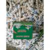 Normal White Garlic Loose Packing in Mesh Bag or Carton Box produced in Jinxiang #2 small image