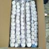 100% White Garlic Packed in 5kg Small Carton Box #2 small image