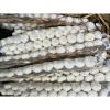 5.0cm Pure White Snow White Garlic Exported to Honduras #4 small image
