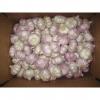 Hot Sale Chinese Red Fresh Garlic with Nice Price #3 small image