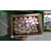 Hot Sale Chinese Fresh Purple Red Garlic Big Garlic 5.5cm and up Packed in Mesh Bag #3 small image