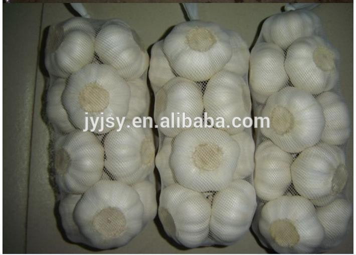 fresh garlic / pure white garlic/ pure white garlic from jinxiang shandong china