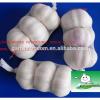 sell white garlic(5.0cm 3pcs mesh bag) #1 small image