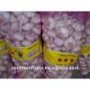 Natural high quality fresh white garlic #5 small image