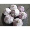 Best Price and Quality 2017 New Crop of Chinese White Garlic / Fresh Garlic #2 small image
