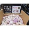 Best Price and Quality 2017 New Crop of Chinese White Garlic / Fresh Garlic #3 small image