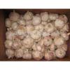 Most Favourable Price of 2017 Chinese Normal White Garlic / Fresh Garlic #2 small image