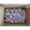 Most Favourable Price of 2017 Chinese Normal White Garlic / Fresh Garlic #3 small image