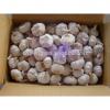 Most Favourable Price of 2017 Chinese Normal White Garlic / Fresh Garlic #4 small image