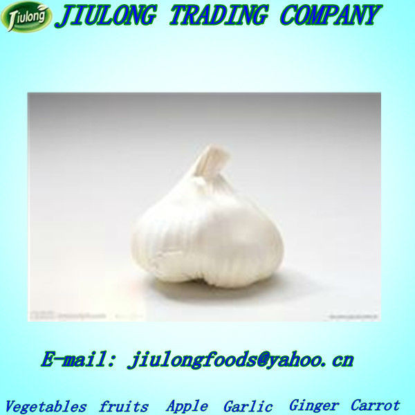 Chinese natural vegetable seeds garlic