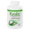 Kyolic - Formula 100 Aged Garlic Extract Cardiovascular - 300 Capsules #1 small image