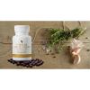 Forever Garlic-Thyme by Forever Living (100 Softgels) Exp.02.2020 #2 small image