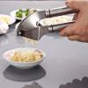 Stainless Steel Garlic Ginger Press Peeler Squeezer Mincer Crusher Kitchen Tool #1 small image