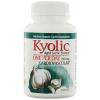 Kyolic Aged Garlic Extract One Per Day 1000 mg - 60 Capsules #1 small image