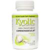 Kyolic Aged Garlic Extract Formula 100 Cardiovascular - 100 VCapsules #1 small image