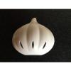 garlic storage white &amp; clear plastic garlic shaped container chef kitchen tool #1 small image