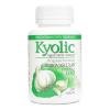 Kyolic Aged Garlic Extract Formula 100 High Potency - 200 Tablets