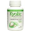 Kyolic Aged Garlic Extract Formula 100 High Potency - 100 Capsules #1 small image