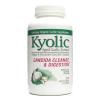 Kyolic Aged Garlic Extract plus Enzyme Formula 102 - 200 Capsules #1 small image