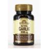 Windmill Garlic Oil 1000 mg Softgels 100 Soft Gels (Pack of 4) #1 small image