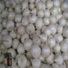 Garlic Essential Oil - 100% Pure and Natural - Free Shipping - US Seller! #3 small image