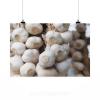 Stunning Poster Wall Art Decor Garlic White Food Cuisine 36x24 Inches