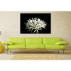 Stunning Poster Wall Art Decor Wild Garlic Flower Spring 36x24 Inches #1 small image
