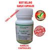 Garlic Extract 60 Best Capsules- Divayo Naturals (or buy 3 get 1 Free) #1 small image
