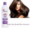 Babaria Garlic Shampoo Treatment Hair Loss Healthy Scalp Dry,Normal, Oily Hair