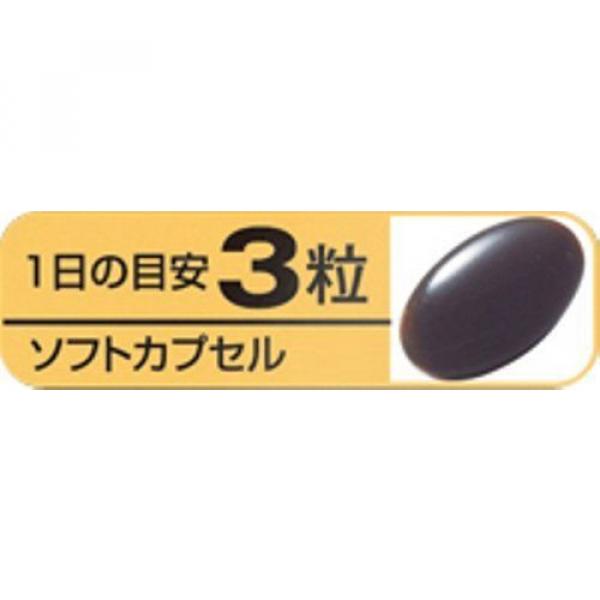 Kobayashi Dietary Supplement Aged Black Garlic Black Vinegar Mash 90 Grains #4 image