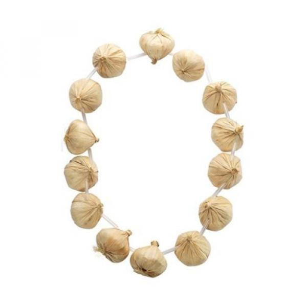 Smiffy&#039;s Garlic Garland on Necklace - 14 Pieces #1 image