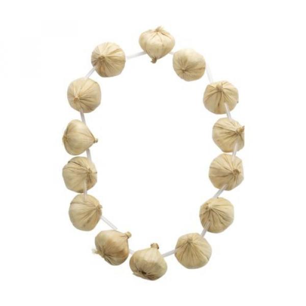 Smiffy&#039;s Garlic Garland on Necklace - 14 Pieces #2 image