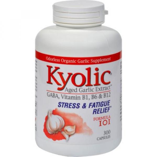 Kyolic Aged Garlic Extract Stress and Fatigue Relief Formula 101 - 300 Capsules #1 image